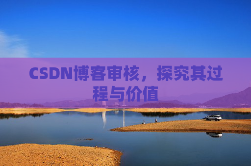 CSDN博客审核，探究其过程与价值