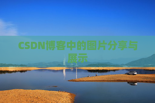CSDN博客中的图片分享与展示